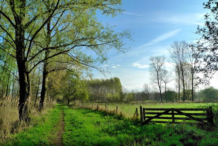 Weibos B&B Camperplaats, Schijndel, Países Bajos