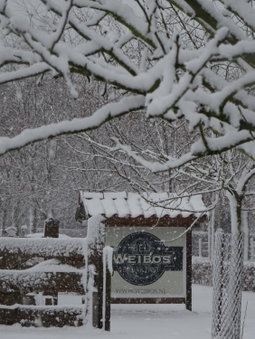 Weibos B&B Camperplaats, Schijndel, Países Bajos