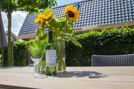 Vakantiepark Duinrust, Noordwijk, The Netherlands