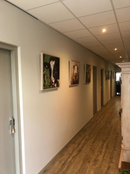 Boutique Hotel Herberg Binnen, Egmond-Binnen, Pays-Bas