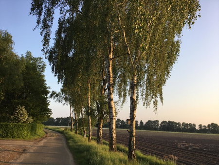 B&B Op 't Eikenschoor, Soerendonk, Нидерланды
