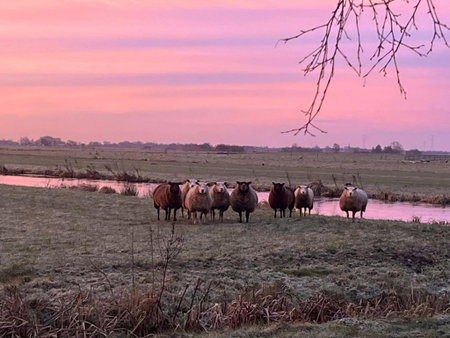 B&B De Beijersche Stee, Logies aan de Waterkant, Stolwijk, Niederlande