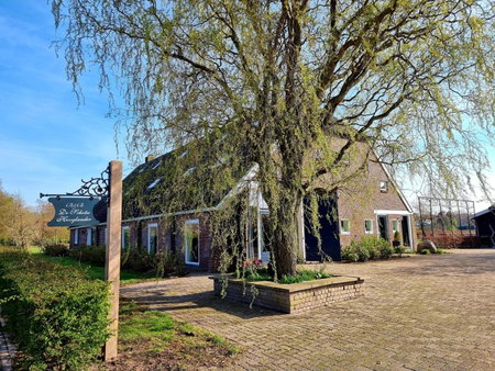 De Schotse Hooglander, Smilde, The Netherlands