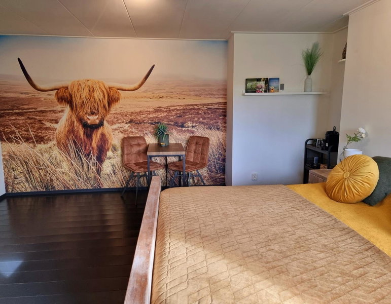 De Schotse Hooglander, Smilde, The Netherlands