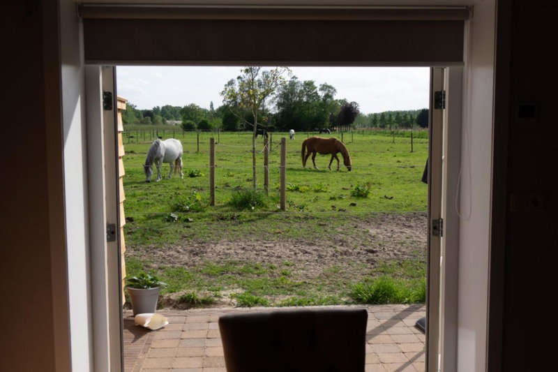 B&B Hoeve Klein Haneveld, Sint-Oedenrode, The Netherlands