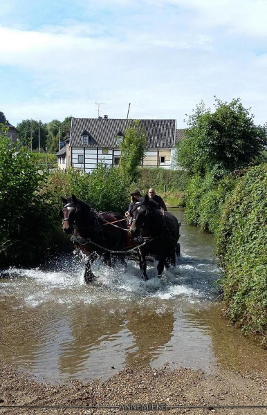 B&B Bij Tante Toos, Lemiers, Países Bajos