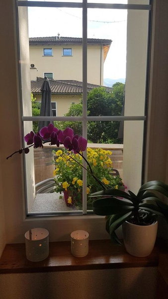 Agriturismo Regusci, Camorino, Suiza