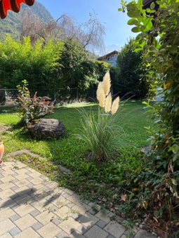 Apartment Laura, Wilderswil, Suisse