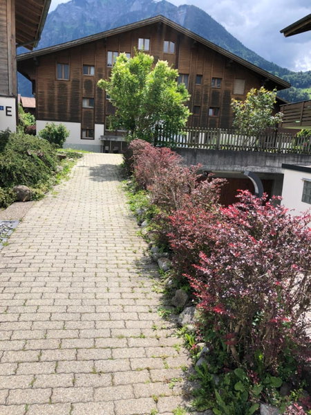 Apartment Laura, Wilderswil, Switzerland