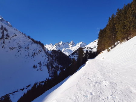 Gästehaus Alpenglühn, Meien, Suiza