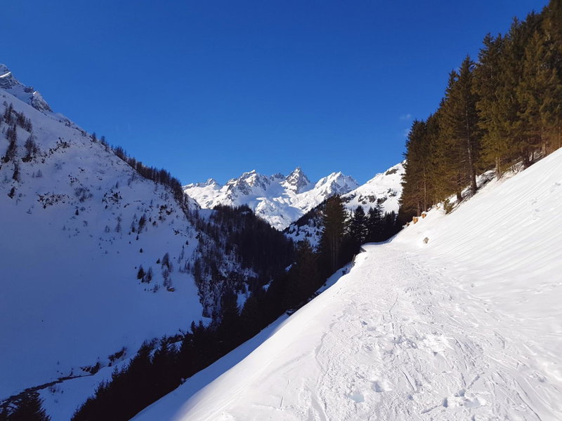 Gästehaus Alpenglühn, Meien, Suiza