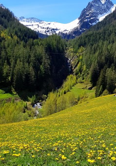 Gästehaus Alpenglühn, Meien, Switzerland