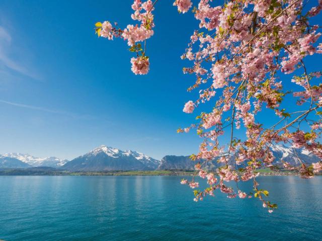 Schöne Ferienwohnung mit Seeblick, Thun, Suiza