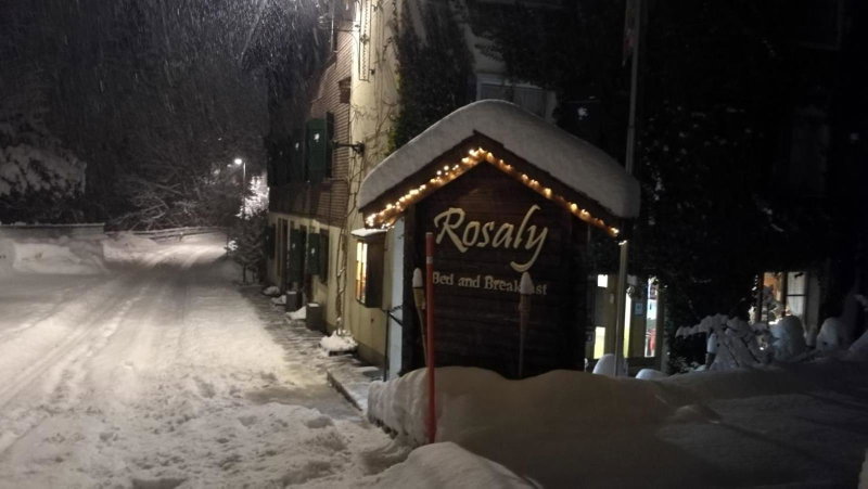 Chalet Rosaly, Chateau-d'Oex, Switzerland