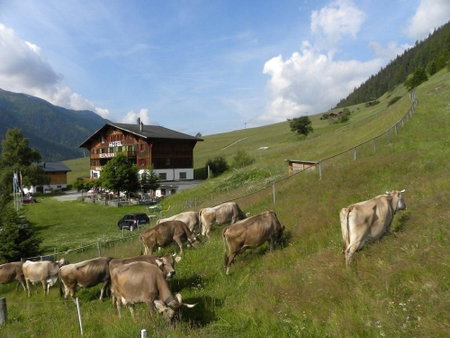 Hotel Restaurant Walliser Sonne, Goms, Suisse