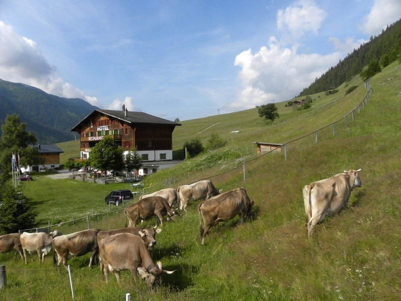 Hotel Restaurant Walliser Sonne, Goms, Suisse