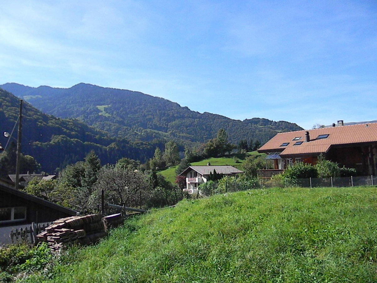 Hotel · Dorner Rustic Chalet, Gsteigwiler