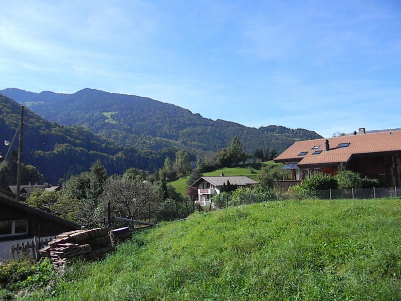 Dorner Rustic Chalet, Gsteigwiler, Switzerland