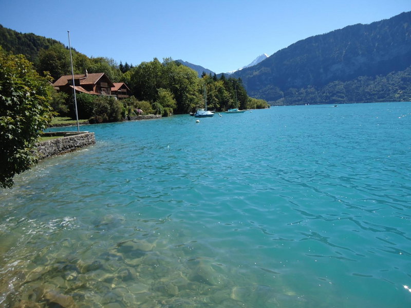 Dorner Rustic Chalet, Gsteigwiler, Switzerland