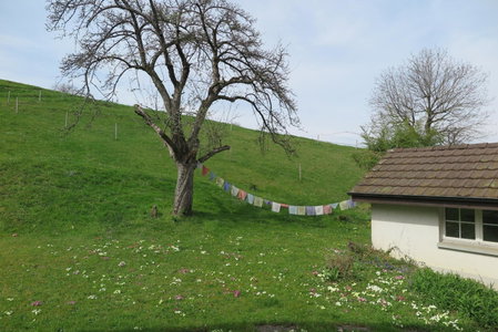 B&B Sigrid Braun-Budde, Riehen, Switzerland