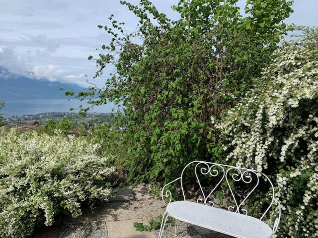 Magie Du Léman, Blonay, Suisse