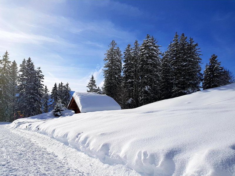 Loft4two, Meiringen, Suiza