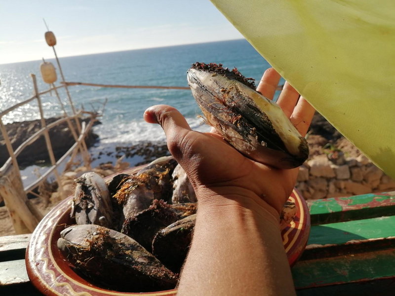 AJARIF ⴰⵊⴰⵔⵉⴼ - Fisherman cabin, Tamri, Maroc