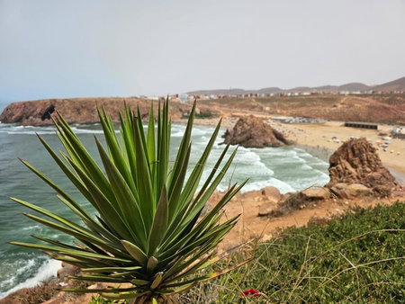 Goldenbeachhouse, Mirleft, Morocco