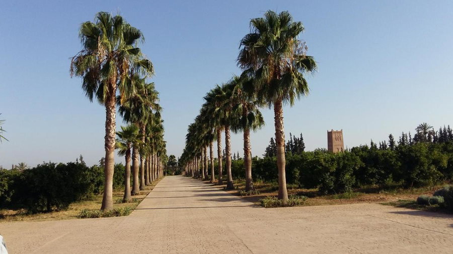 Palais Claudio Bravo, Taroudant, Morocco