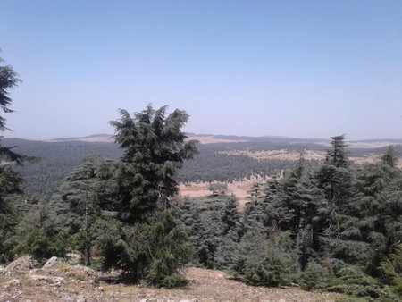 Gîte Forest Tagroumte, Azrou, Марокко