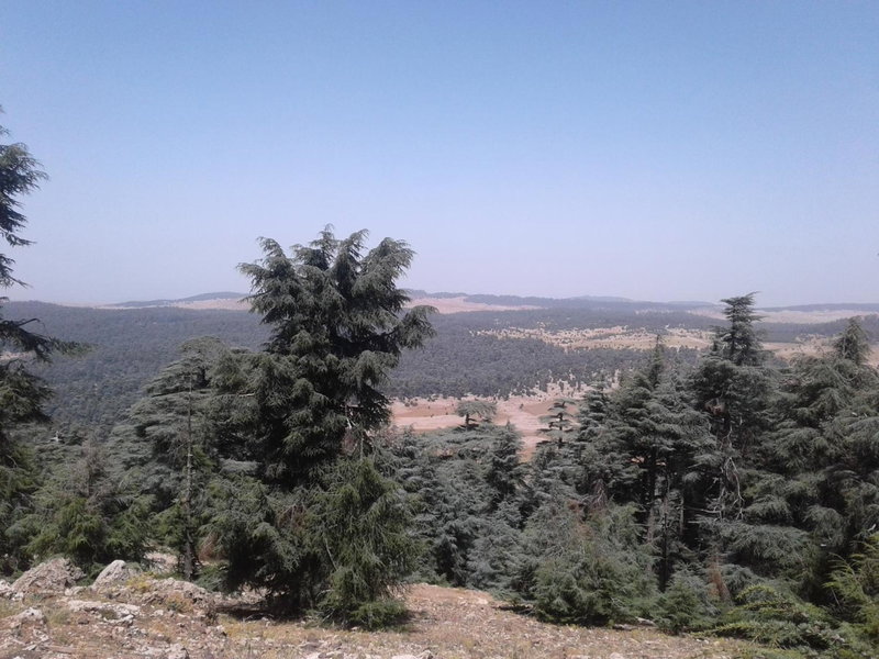 Gîte Forest Tagroumte, Azrou, Марокко