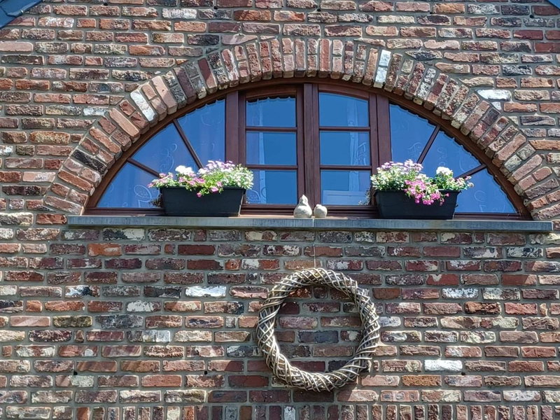 A l'ombre du noyer, Fernelmont, Belgium