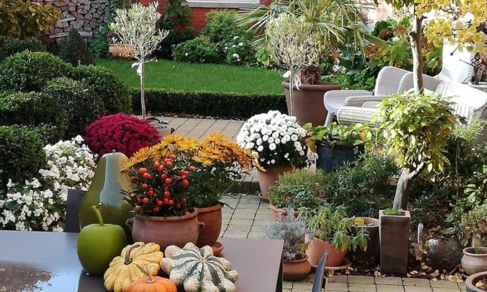 Adamas B&B, Dendermonde, Бельгия