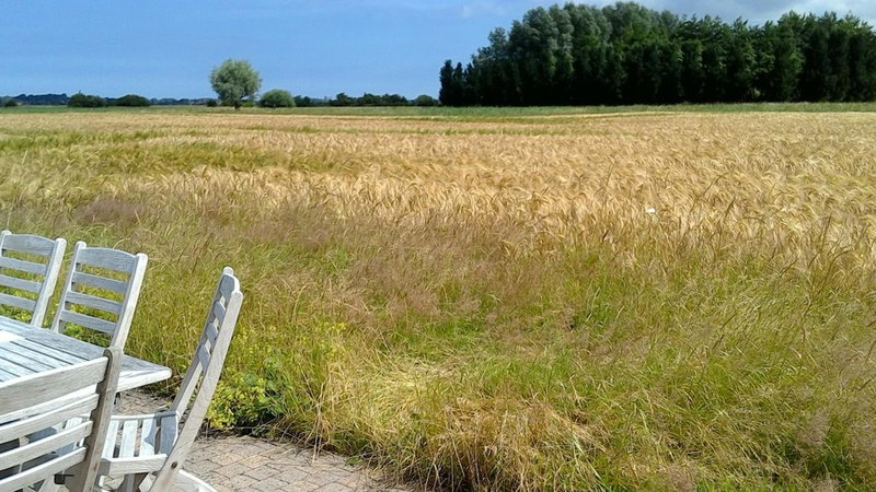 Ateljee Devlaux, Veurne, Бельгия