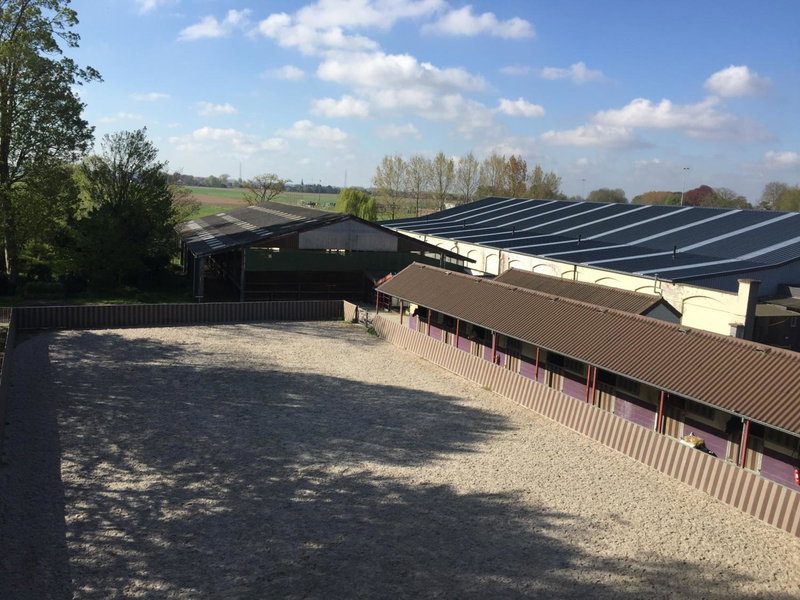Haras des Chartreux, Estaimbourg, Belgium