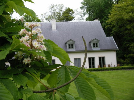 Hotel Malcot, Mechelen, Belgium