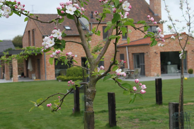 B&B 't Hoogste Kamers en Glamping, Bornem, Belgium