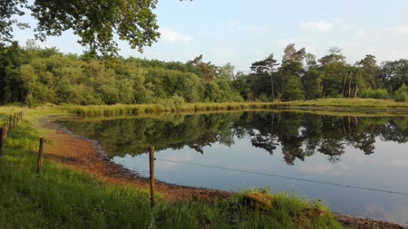 B&B De Grote Plaats, Hoogstraten, Belgium