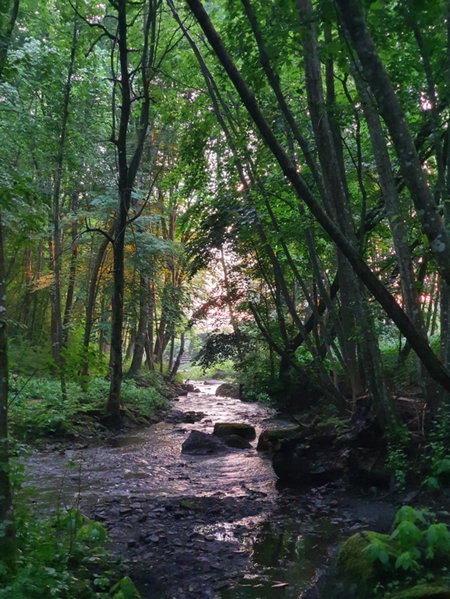 Pilakvarn, Falkoeping, Sweden