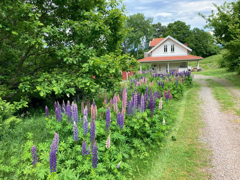 Ny Flintarp, Laholm, Suède