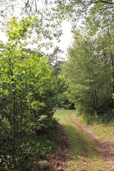 Naturnära STUGA ULLARED, Ullared, Sweden