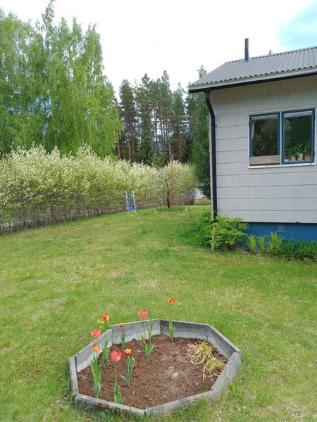 Guesthouse Simolle, Hammarstrand, Sweden