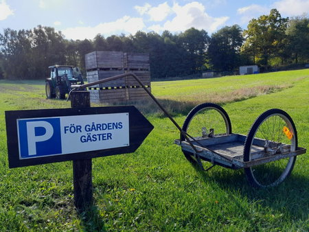 Brösarp Källagården Stora Gårdslägenheten, Brösarp, Швеция