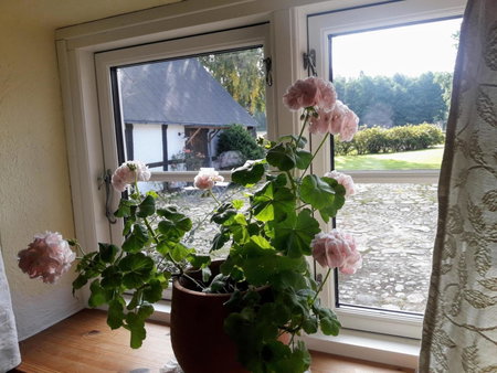 Brösarp Källagården Stora Gårdslägenheten, Brösarp, Швеция