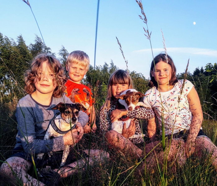 Brösarp Källagården Stora Gårdslägenheten, Brösarp, Швеция