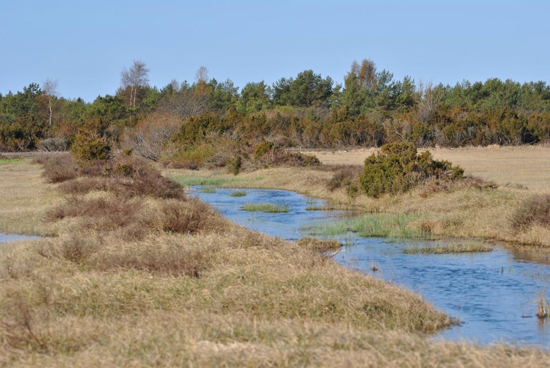 Sandgårdsborg, Färjestaden, Sweden