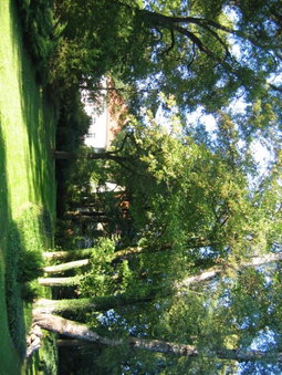 HolidayPark Mlázovy, Kolinec, Czechia