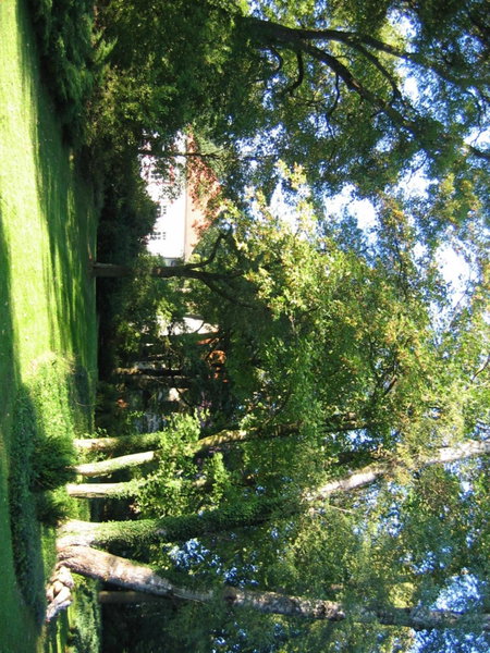HolidayPark Mlázovy, Kolinec, Czechia