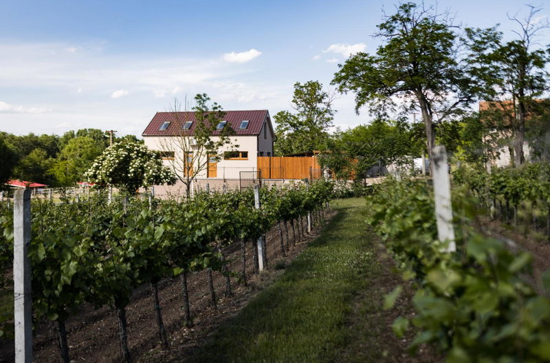 Sklep na Správném místě - degustace, ubytování a wellness, Brod nad Dyjí, Czechia