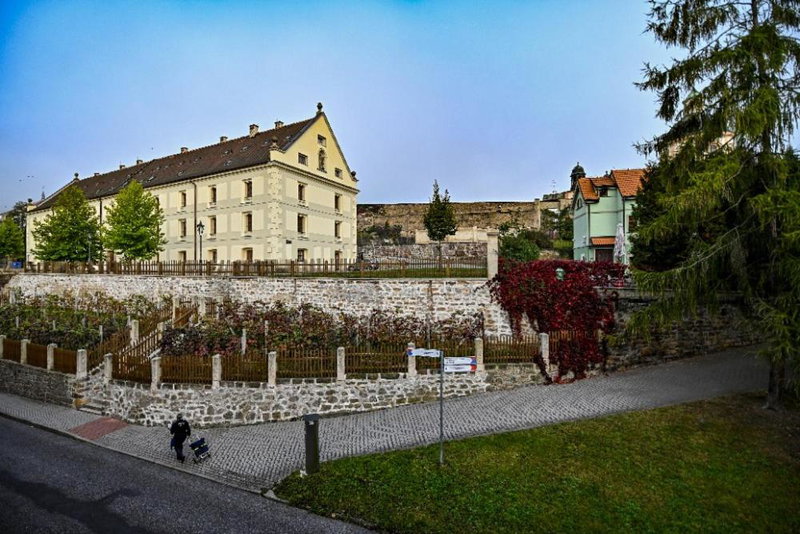 Aparthotel Faust, Děčín, Czechia